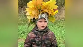 1 М Емелин Артемий