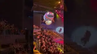 ПОЛЕЗНЫЙ ОТЗЫВ, Касатки ! Новогодний круиз! Ходили в Москвариум на ВДНХ 23.12.2022г. г. Москва!
