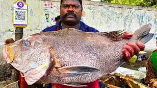KASIMEDU SPEED SELVAM FISH CUTTING VIDEO CUTTING FOCUS