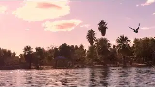 iPhone 6 short film