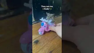 When the mice get smart to your traps… (Did anyone see that wink??) 
