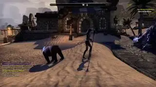 Elder scrolls Botting.