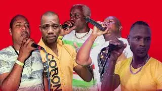 Chiwawa - Corona Band