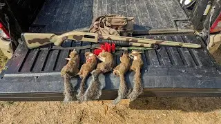 Mossberg Maverick 88 Squirrel Hunt