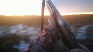 Приехал посмотреть как летает утка, после первого снега.