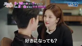 中国ドラマ「始まりは君の嘘」│BS12