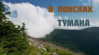 В поисках тумана: Гора Фалаза