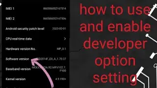 How to use and enable developer option seeting explain 