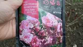 Подкормка роз весной и летом. Мои любимые удобрения для роз. Когда я подкармливаю розы