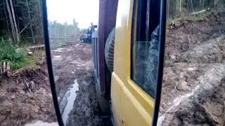 6 марта 2020 г.