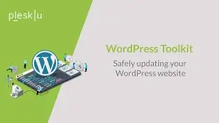 WP Toolkit: Safely updating your WordPress website