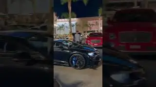 Ladies life in Monaco 