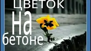К НЕБЕСНОМУ СВЕТУ ( Шансон )