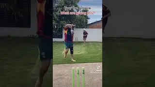 Backyard Cricket Umpire Decision