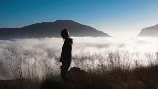 Wild Cape - Freedom