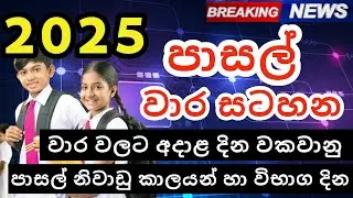 2025 School Term Plan | Term Plan 2025 | 2025 School Calendar | School Term Plan 2025