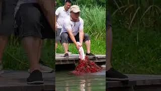 wow bisa di coba 