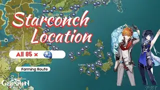 All 85 Starconch Locations  | Farming Route Inazuma | 【Genshin Impact】