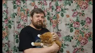 1 марта. Начало весны и День кошек в России!)