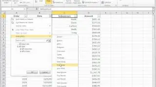 In Excel: Filter data by using an AutoFilter