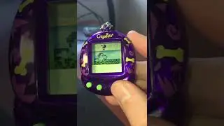 My Retro Virtual Pet!