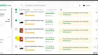 Tutorial Cara Bagaimana Hapus Banyak Produk di Tokopedia Seller