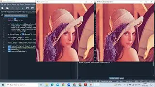 How to Add Random Noise Manually to An Image in OpenCV using Python