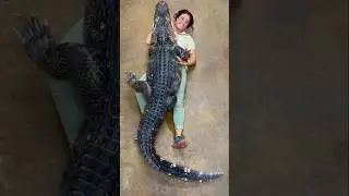 Darth Gator wanted a Hug😅🥰