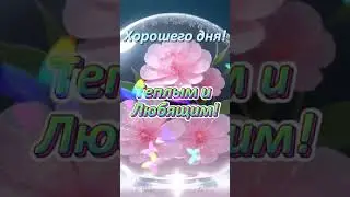 Вот и оно, долгожданное ЛЕТО! Хорошего Дня. Peace and Happiness!  #добрыйдень #shorts