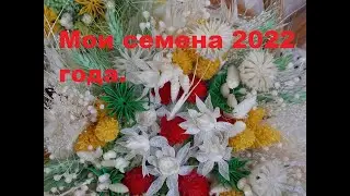 Ассортимент семян сухоцветов 22 года. Заказывайте.