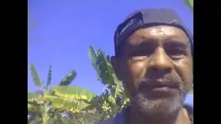 Pisang-Pisang di Kebunku Berbuah