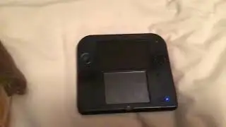 The Nintendo 2DS and the Party