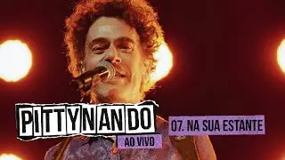 ‪@pittyoficial‬