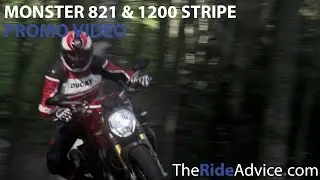 Ducati Monster 821 and 1200 Stripe