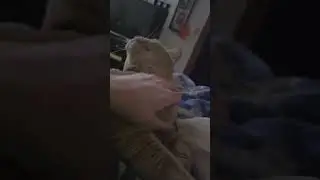 Sleepy Car
