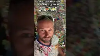 12 августа 2024 г.