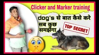 अपने Dog को clicker/marker ट्रेनिंग जरूर दें: The Fastest Way to Get Your Dog to Be Amazing!