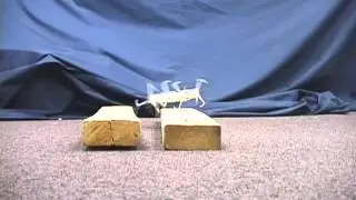 Increasing small robot mobility via abstracted biological inspiration