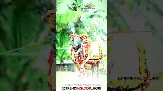 haveri arjun | ಹಾವೇರಿ ಅರ್ಜುನ | action bull