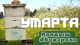Ландыш Әбүдәрова "Умарта" 4нче кисәк