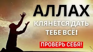 Аллах испытывает нас из-за любви к нам, не будь из числа неблагодарных❤️☝🏻