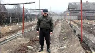 Основные ошибки, при формировании виноградника .