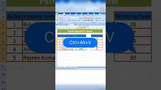 Paste Special In Excel 
