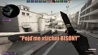 Bison x Dust long