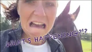 WE WON!