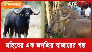 ব্রাহ্মণবাজার :  হাজারো মহিষ ওঠে এই বাজারে | Buffalo | Buffalo Market | Brahmanbazar | Eye News