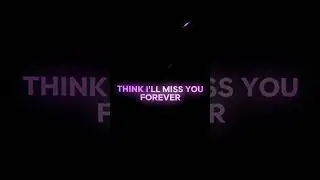 Untitled video