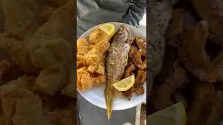 3 fish 3 ways! Catch, Clean, & Cook! Part 2!!