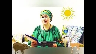 Сказка на диване. Эдуард Шим. Полосы  и  пятнышки.