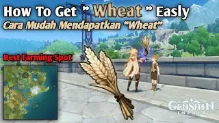 How To Get 